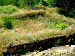 Cetatea dacica de la Capalna: din rol militar, in patrimoniul UNESCO