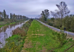 Cea mai lunga pista de biciclete din tara, care leaga Timisoara de granita cu Serbia, a fost inaugurata
