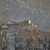 Cetatea Poenari: De la resedinta pentru Tepes la inspiratie pentru Jules Verne