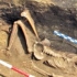 Un schelet mai batran cu 12 secole decat Tutankamon, descoperit in Prahova