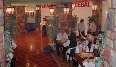 Restaurant Cramele lui Decebal Brasov