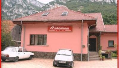 Restaurant Orhideea Baile Herculane