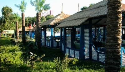 Restaurant Les Palmiers Mamaia