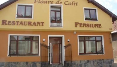 Restaurant Floare de Colti Baia Mare
