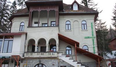 Restaurant Alex Sinaia