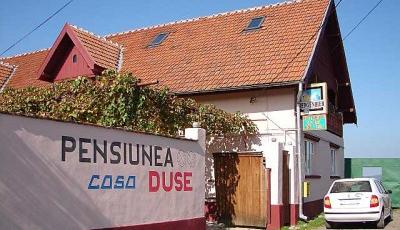 Restaurant Casa Duse Cartisoara