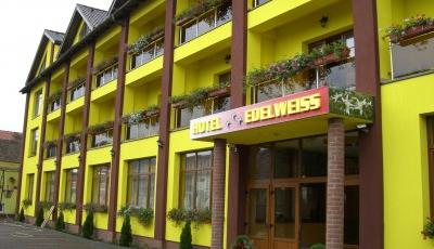 Restaurant Edelweiss Medias