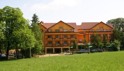 Restaurant Silva Sibiu