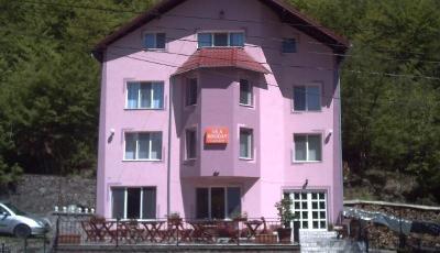 Vila Bogdan Moneasa