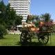 Hotel Decebal Bacau