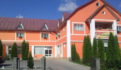 Hotel Flamingo Bistrita