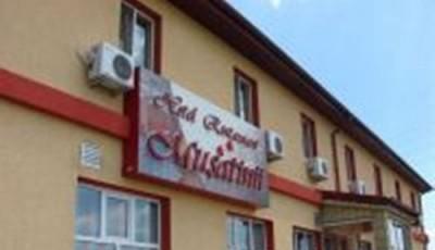 Hotel Musatinii Buzau