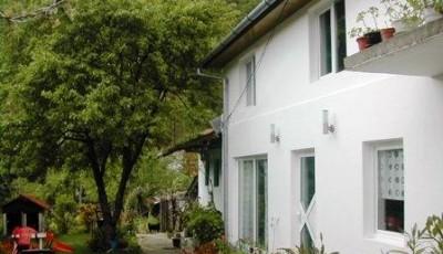 Pensiunea Casa Anadam Baile Herculane
