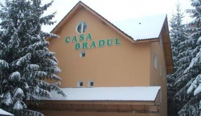 Cabana Casa Bradul Lupeni