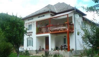 Pensiunea Danuta Viseu de Sus