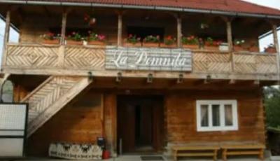 Pensiunea Domnita Poienile Izei