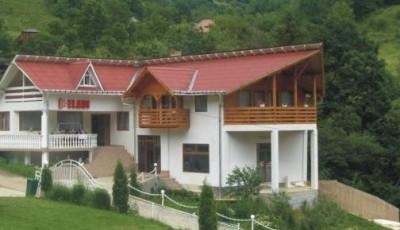 Pensiunea Eladi Borsa