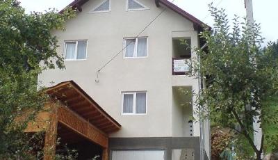 Pensiunea Onu Borsa