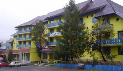 Hotel Bradul Durau