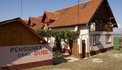 Pensiunea Casa Duse Cartisoara