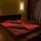 Hotel Larissa Timisoara