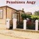 Pensiunea Angy Sulina