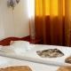 Motel Blue River (Hotel Perla Oltului) Calimanesti
