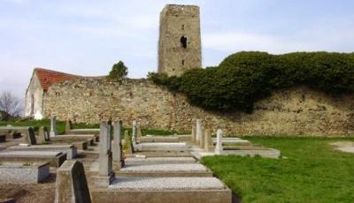 Cetatea Petresti Alba