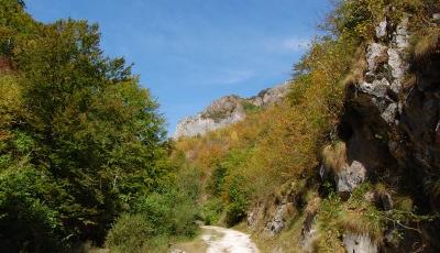 Cheile Pociovalistei Alba