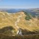 Transalpina Alba