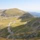 Transalpina Alba