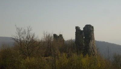 Cetatea Dezna Arad