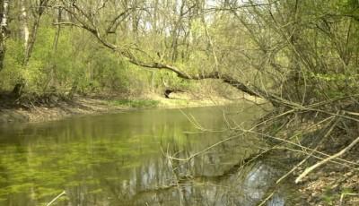 Parcul Natural Lunca Muresului Arad