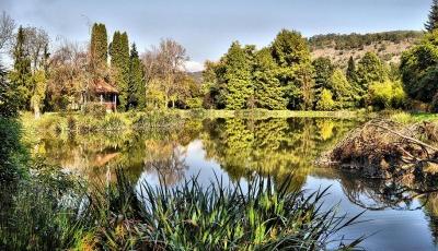 Parcul dendrologic Arboretum Silva din Gurahont Arad