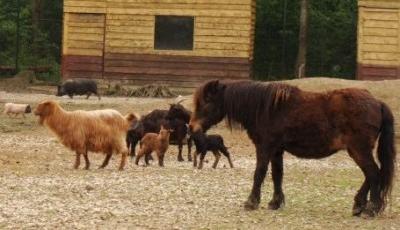 Gradina Zoologica din Pitesti Arges