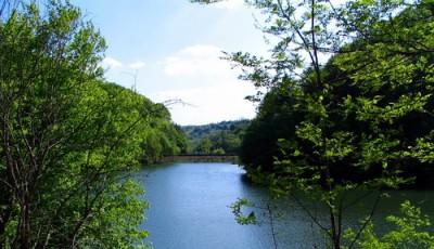 Lacul Vida Bihor