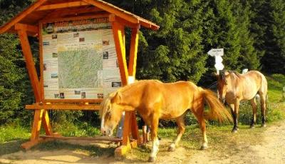 Parcul Natural Apuseni