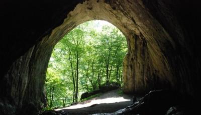 Pestera Meziad Bihor