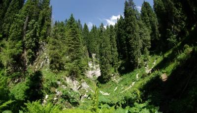 Rezervatia naturala Pestera Cetatea Radesei Bihor