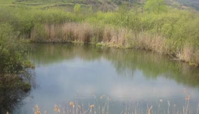 Lacul Zagra sau Taul lui Alac Bistrita-Nasaud