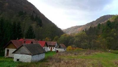 Rezervatia Naturala Comarnic  Bistrita-Nasaud