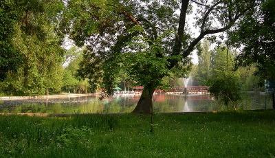 Lacul Cismigiu Bucuresti