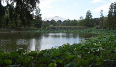 Parcul Circul de Stat Bucuresti