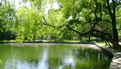 Parcul Crangul Buzaului