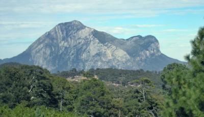 Rezervatia naturala Blocurile de calcar de la Badila Buzau