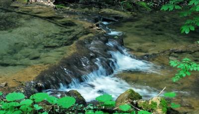 Cascada Susarei Caras-Severin