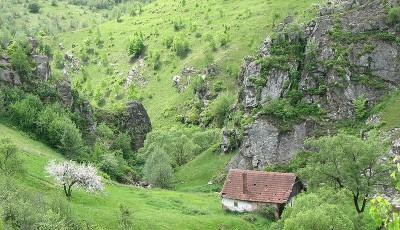 Cheile Paniceni Cluj