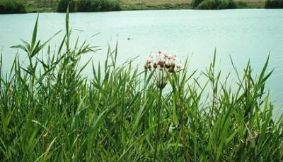 Lacul Agigea Constanta