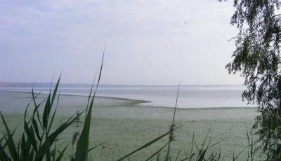 Lacul Oltina Constanta