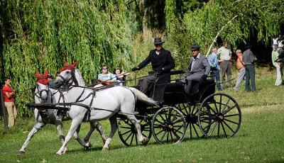 Centrul de echitatie Sancrai Covasna